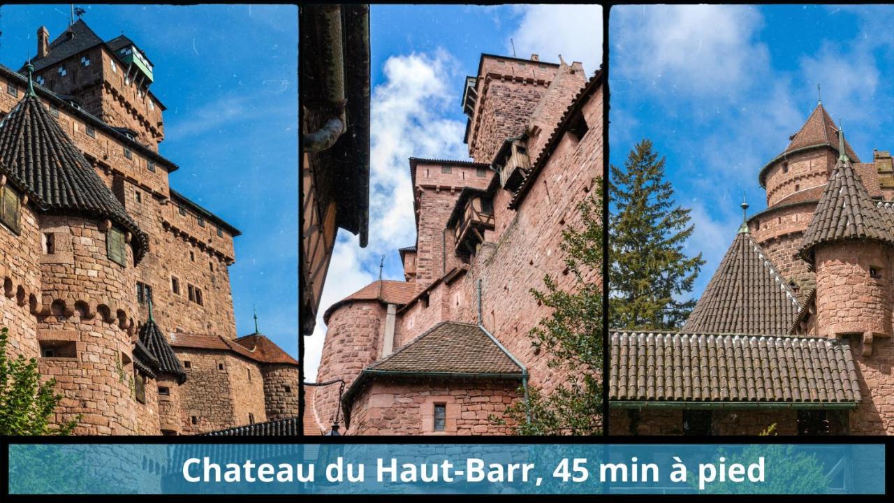 Centre - L'Imperial - Parking Leilighet Saverne Eksteriør bilde